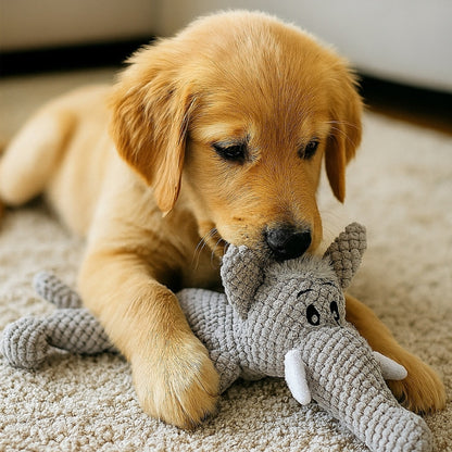 Soft Squeaky Puppy Chew Toy – Plush Dog Toy for Small Dogs & Teething Relief
